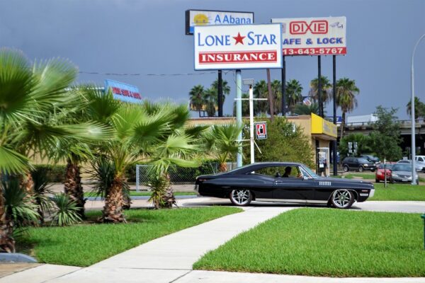 classic car and palm trees 2814781 960 720