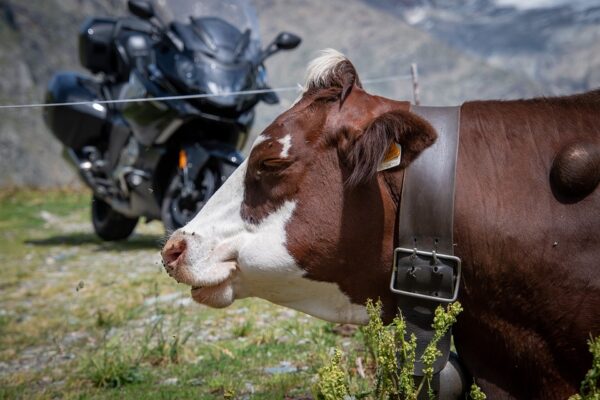 「電動機車貸款」考量因素,應該先掌握的重點 2 landscape 7453562 960 720
