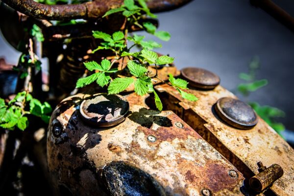 stainless 788148 960 720