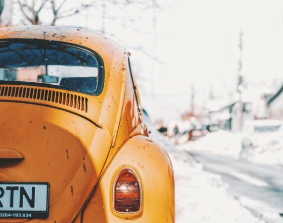 photo 1517407529958 f6dd2b0389b5