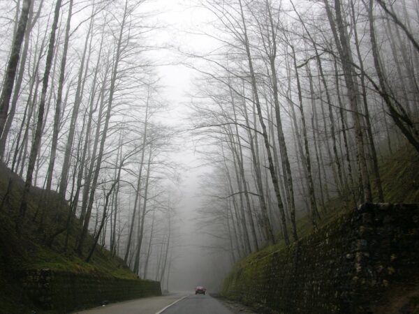 信用狀況差,還能貸到車嗎? 6 photo 1542436417422 d624a6d0afa6