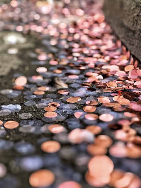 如何有效利用信用卡提升低信用分汽車貸款申請成功機率 9 photo 1573590462722 6f6bf38cb37f