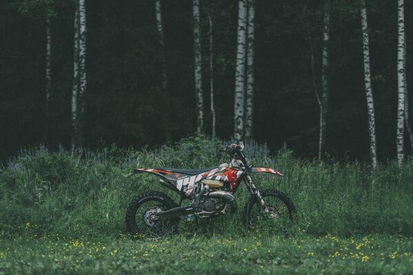 photo 1592209944411 168a31e20563