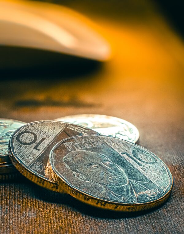 photo 1615819677265 ab86a72fba8b