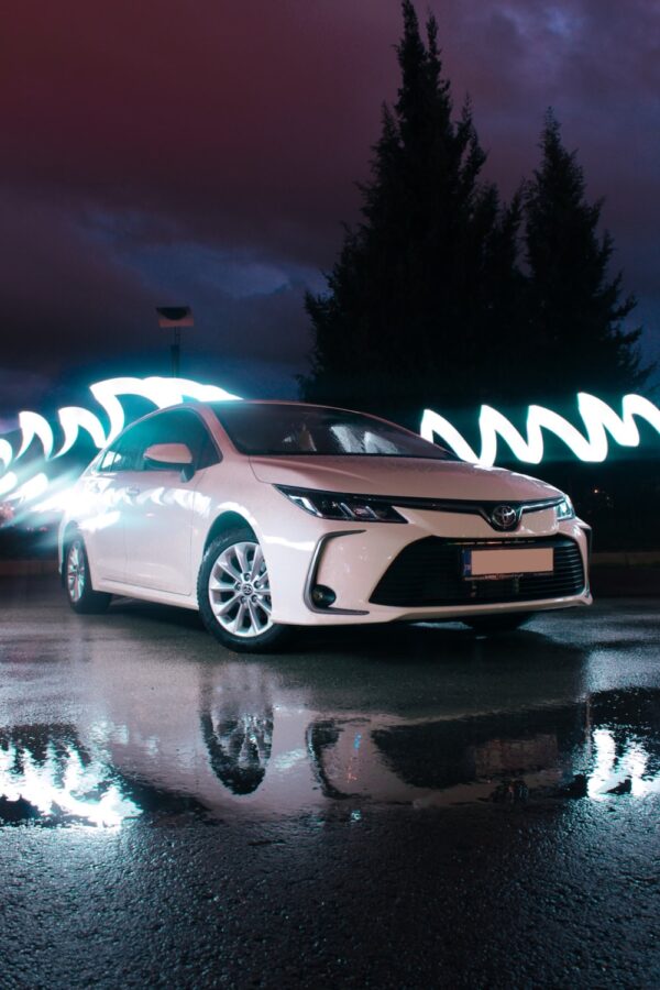 photo 1619682817481 e994891cd1f5