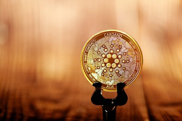 photo 1622538501209 c2636996e86c