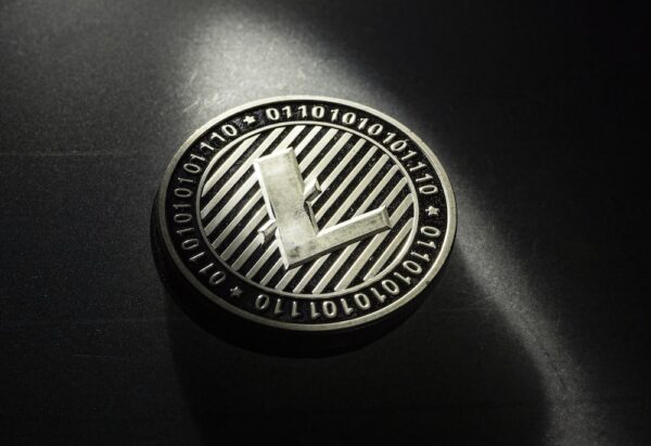 photo 1622630732278 ca6d08c52b6f