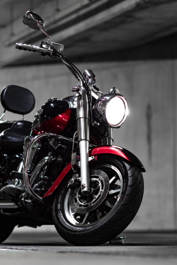 photo 1631868061465 521e1fdcafc6