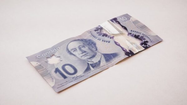 photo 1641932970077 997bccc7b9a8