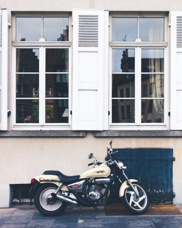 photo 1567636751612 b3ae0993f10a