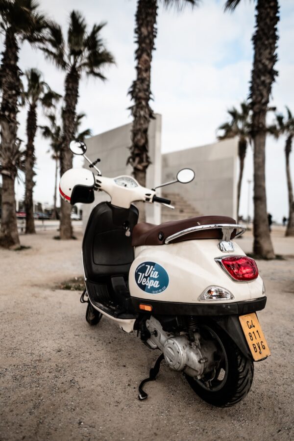 photo 1577733314734 f1d0548a6d97