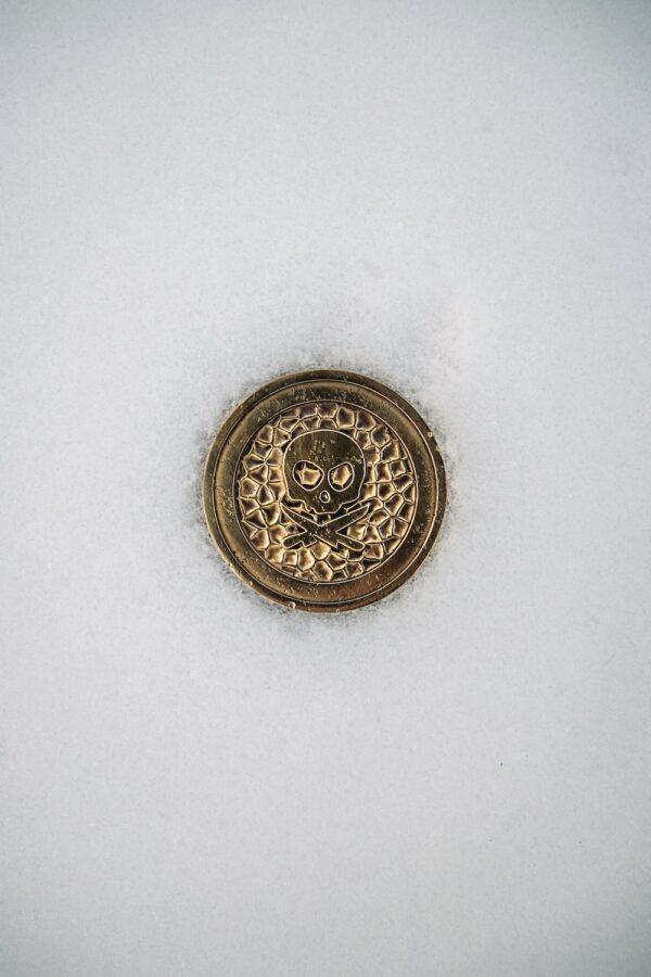 photo 1617004890839 25d5d8a9730d