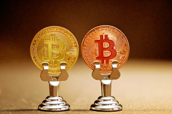 photo 1621416843922 c51d5f9dac0c