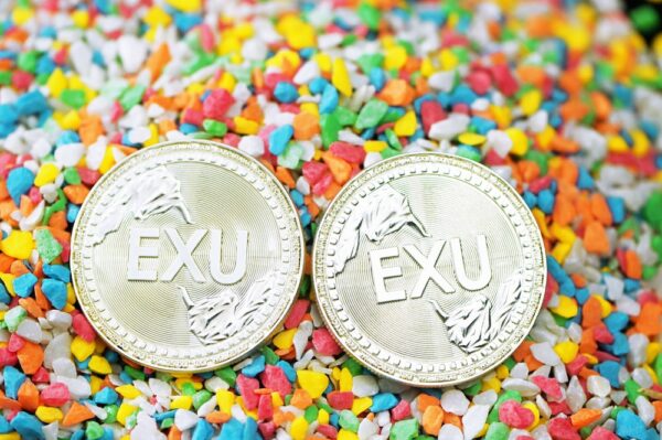 photo 1626397858690 d76cf987f7f6