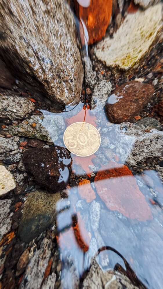 車貸評估價值:如何提高您車輛的估值 4 photo 1583222349429 97c7ce06b853