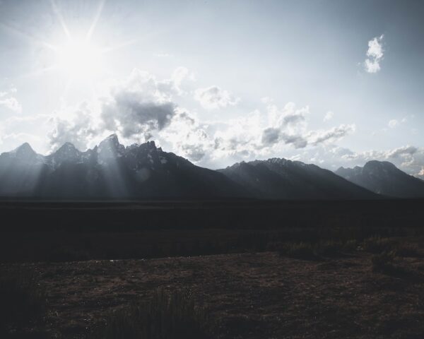 photo 1518713606418 eebd8ae74ba5