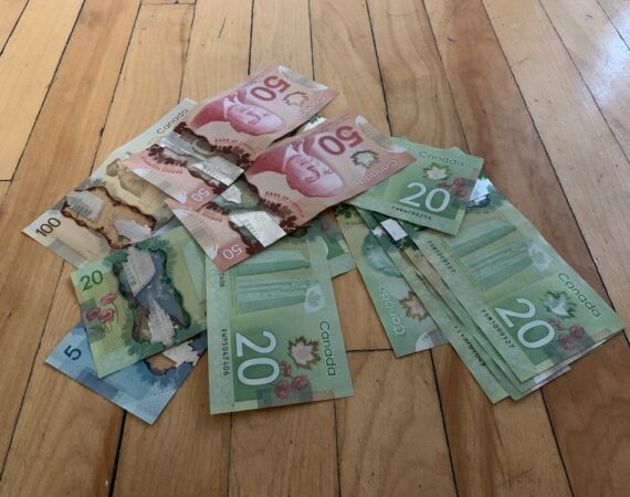 photo 1579641183539 08770719d0ae