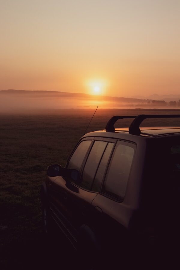 photo 1583803401513 9778edd9873d