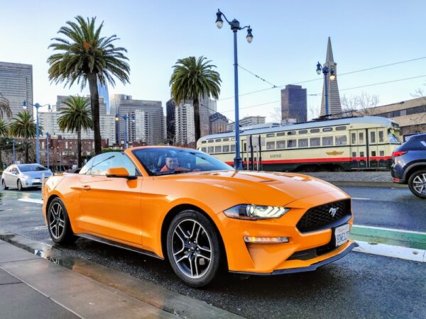 photo 1613048920587 2cf4e0d4d3df