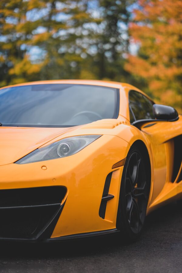 photo 1540951236303 258adc2f4e74