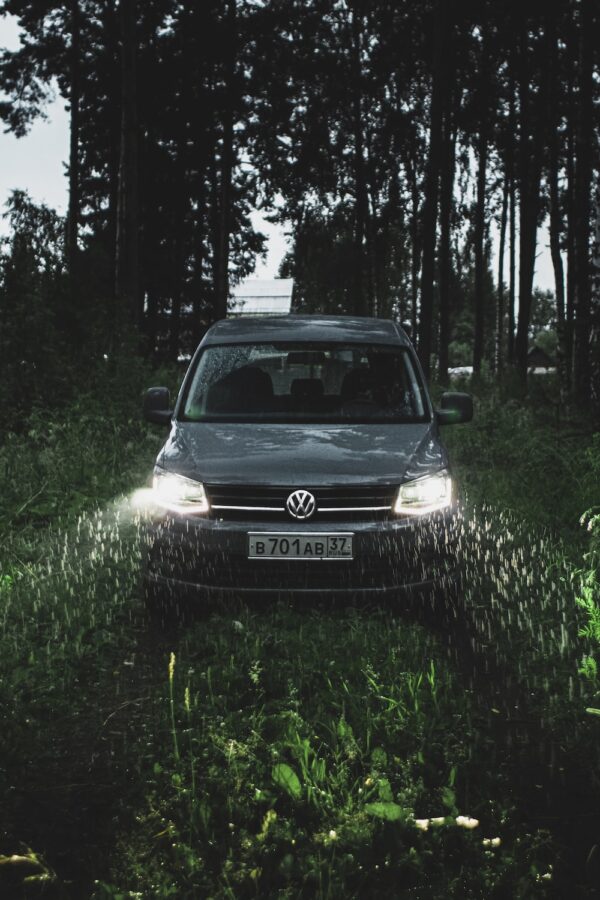 photo 1595535284514 7aa57200d3e7