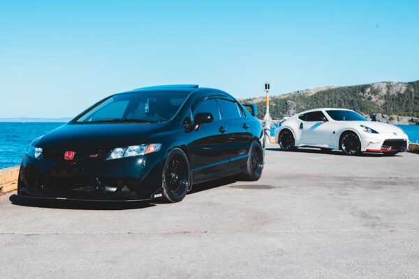 photo 1597541711871 1e11fc1fd6ae