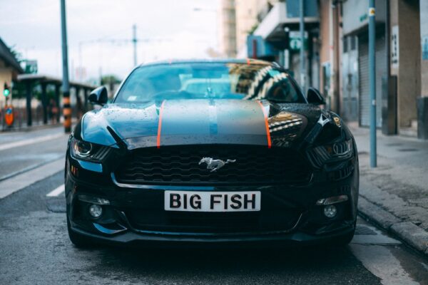 photo 1592224877477 3791b088fd6d